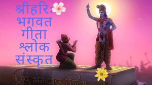 shloka from bhagavad gita in sanskrit | भगवत गीता श्लोक संस्कृत